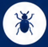 Pest identification