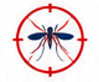 Mosquito